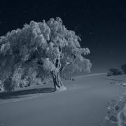 FotoClub_32