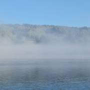 Morgennebel über dem See