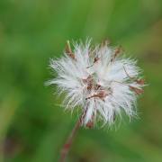 IMG_5589