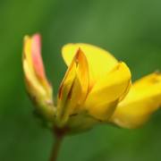 IMG_5644