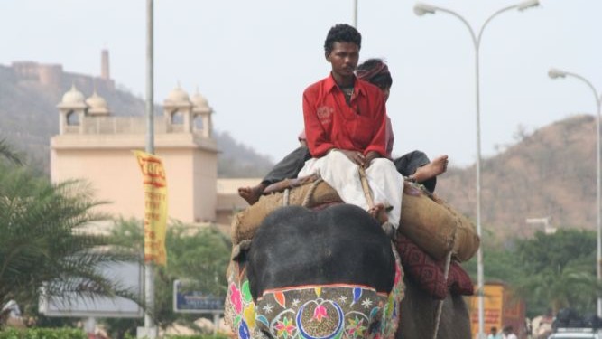 Unverhofft kommt oft –  Oder: Wer eine Reise